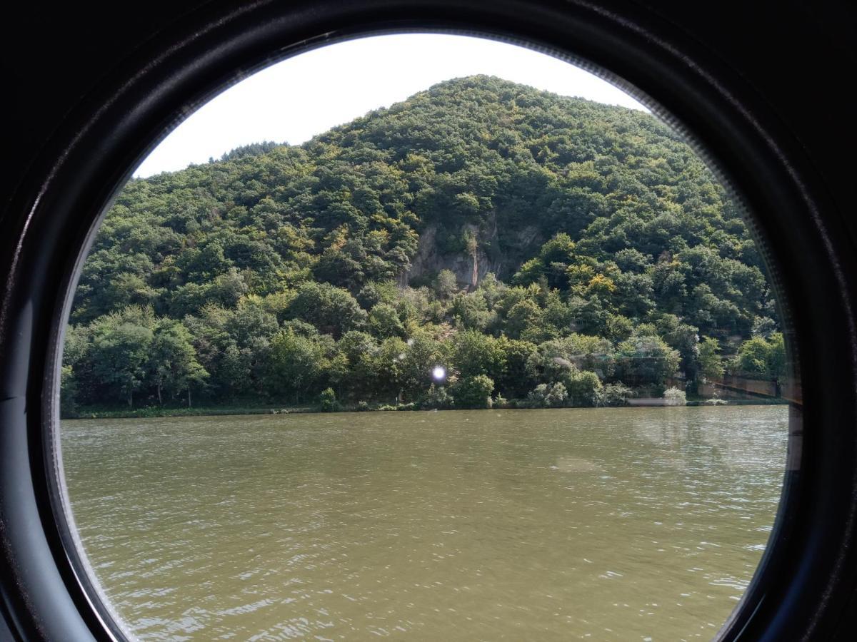 Hausboot Moselrose In Poelich Hotel Polich Luaran gambar